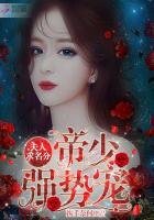 帝少强势宠：夫人，求名分