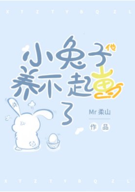 小兔子他养不起崽了