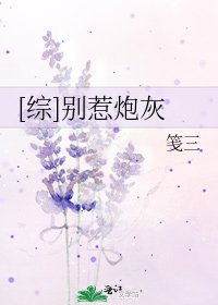 [综]别惹炮灰